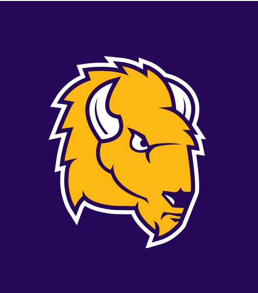 Lipscomb Bisons 2012-Pres Alternate Logo t shirts iron on transfers